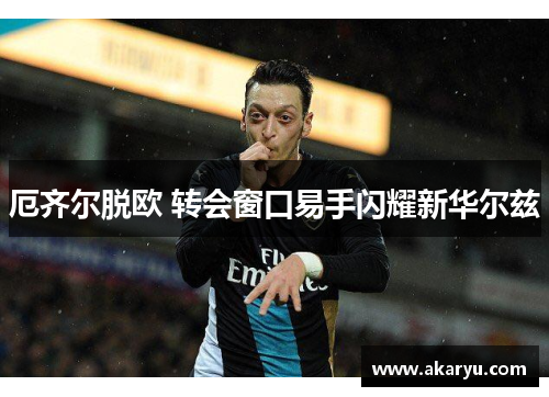 厄齐尔脱欧 转会窗口易手闪耀新华尔兹